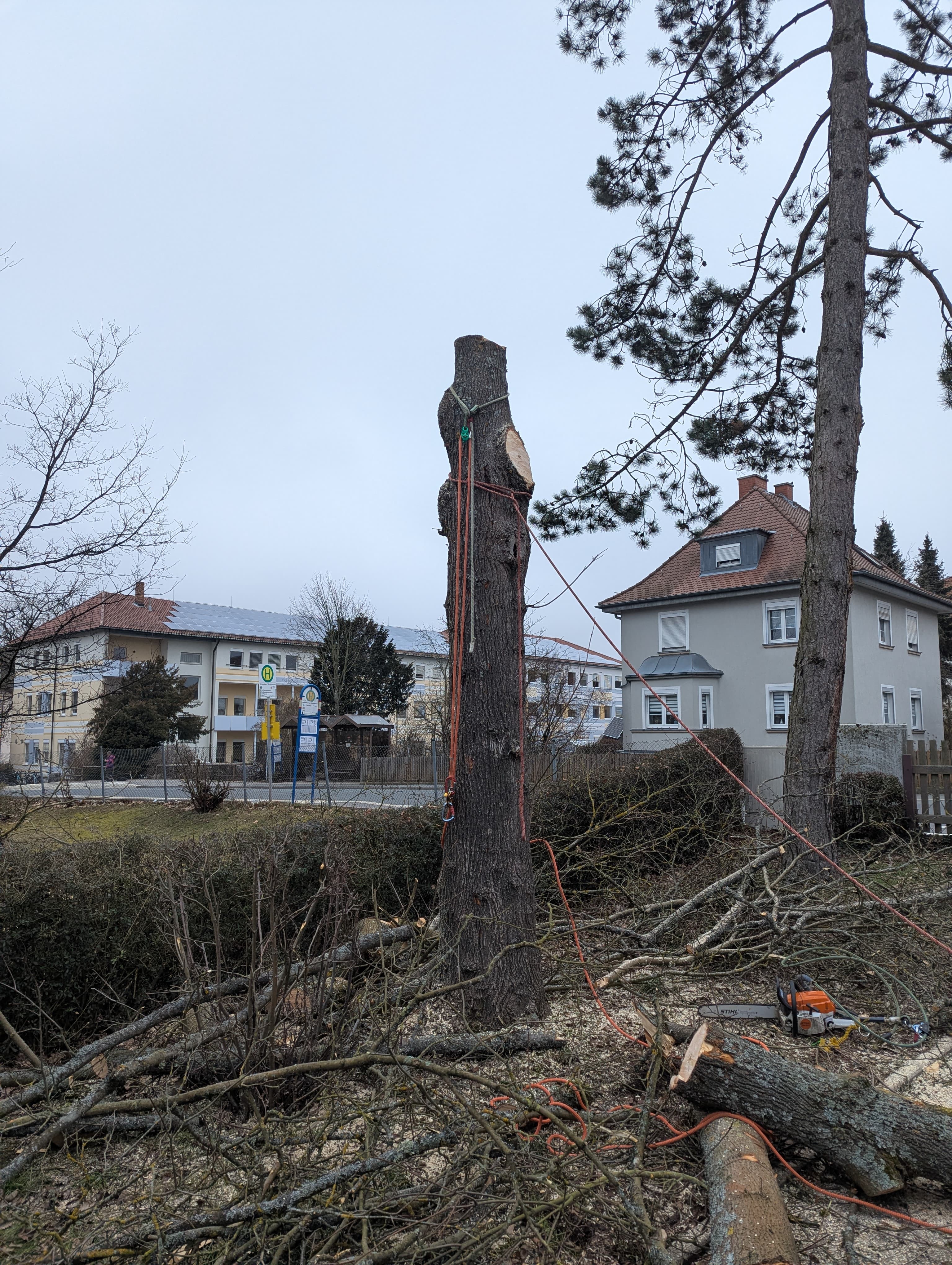 Baumfällung & Baumabtragung